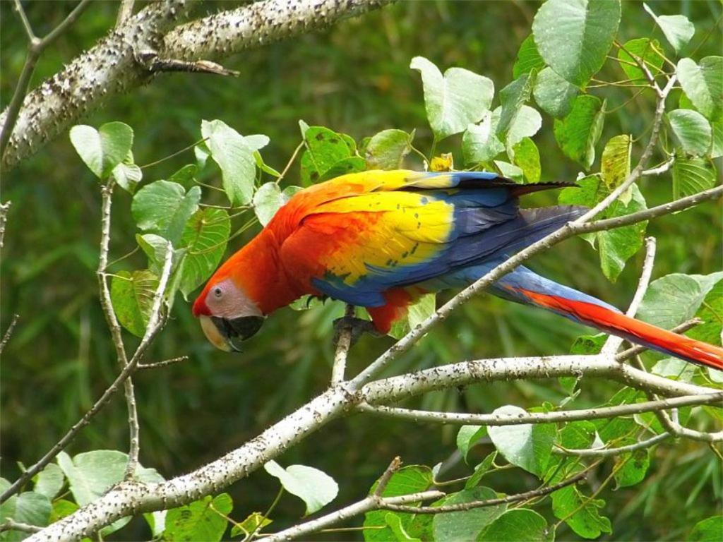 Cabana Itze La Fortuna 外观 照片
